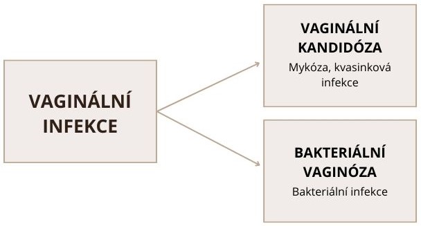 Vaginální infekce kvasinková a bakteriální